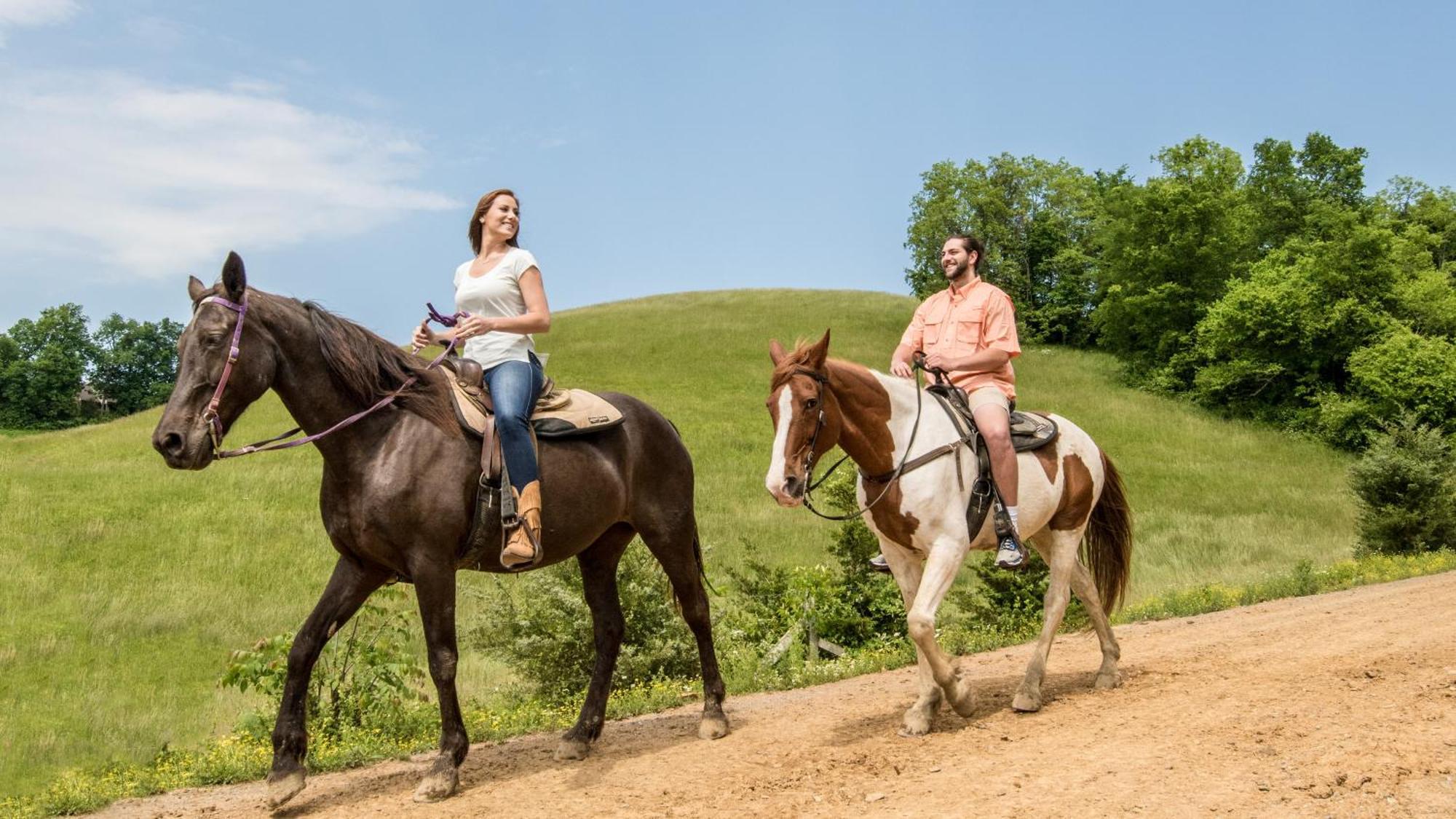 Apple Blossom By Eden Crest Pigeon Forge Ngoại thất bức ảnh