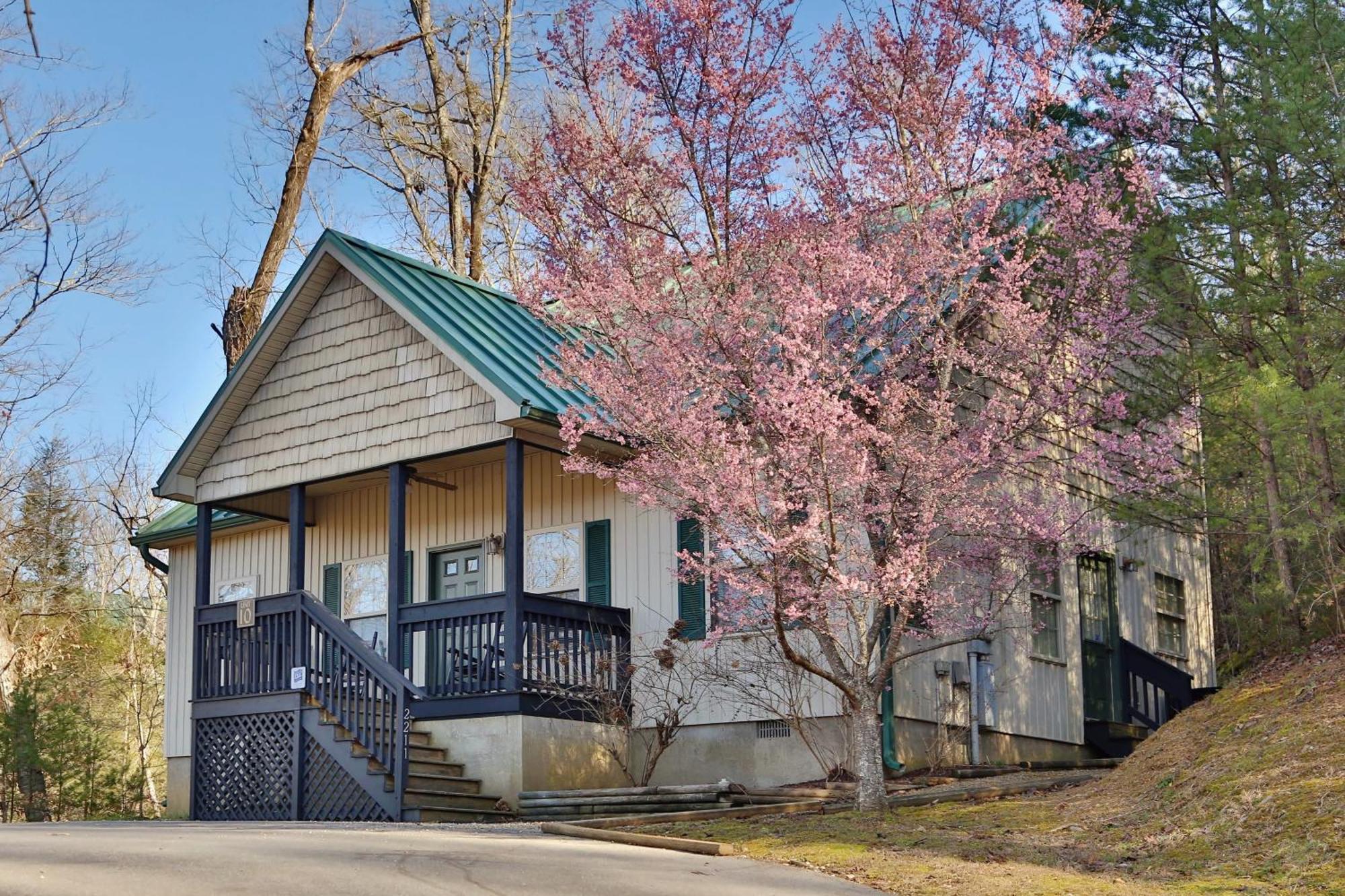 Apple Blossom By Eden Crest Pigeon Forge Ngoại thất bức ảnh